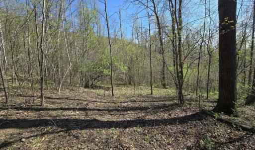 Photo #8 of S FT VALLEY RD, MADISON, VA 10.3 acres