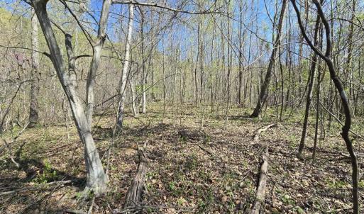 Photo #7 of S FT VALLEY RD, MADISON, VA 10.3 acres