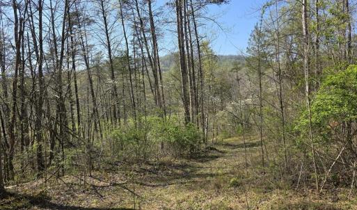 Photo #3 of S FT VALLEY RD, MADISON, VA 10.3 acres