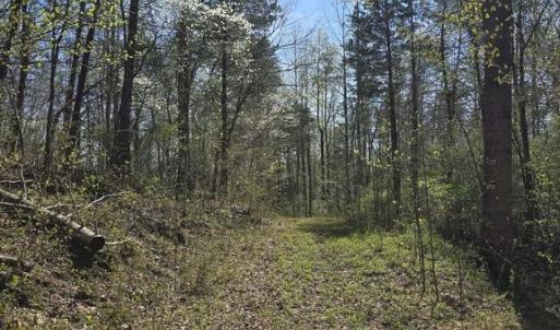 Photo #16 of S FT VALLEY RD, MADISON, VA 10.3 acres