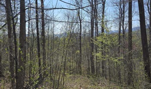 Photo #10 of S FT VALLEY RD, MADISON, VA 10.3 acres