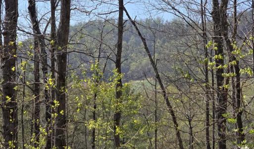 Photo #2 of S FT VALLEY RD, MADISON, VA 10.3 acres