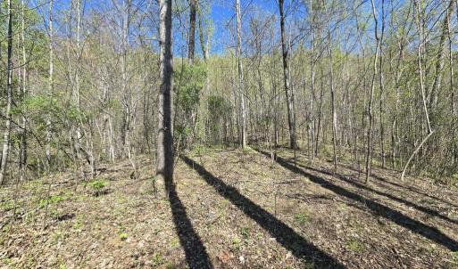 Photo #14 of S FT VALLEY RD, MADISON, VA 10.3 acres