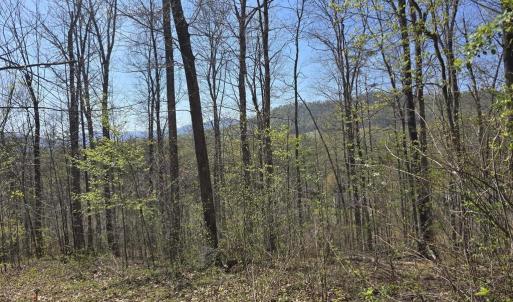 Photo #1 of S FT VALLEY RD, MADISON, VA 10.3 acres
