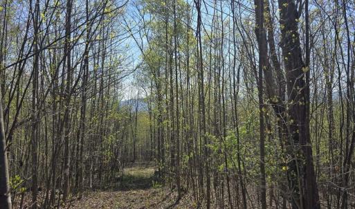Photo #2 of S FT VALLEY RD, MADISON, VA 10.0 acres