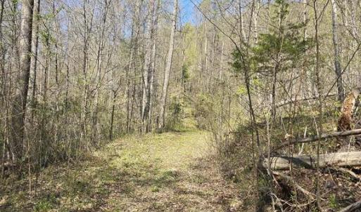Photo #5 of S FT VALLEY RD, MADISON, VA 10.0 acres