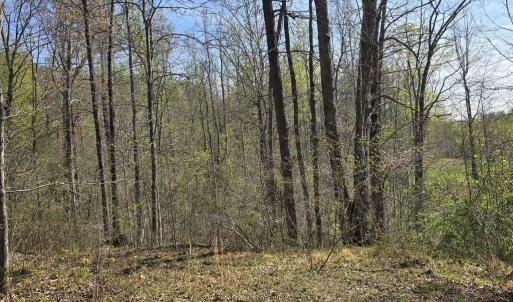 Photo #8 of S FT VALLEY RD, MADISON, VA 10.0 acres