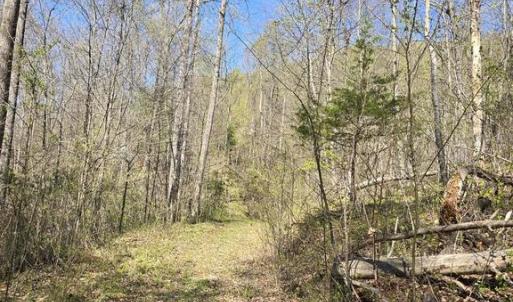 Photo #13 of S FT VALLEY RD, MADISON, VA 10.0 acres