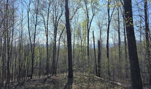 Photo #1 of S FT VALLEY RD, MADISON, VA 10.0 acres