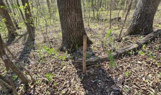 Photo #14 of S FT VALLEY RD, MADISON, VA 10.0 acres