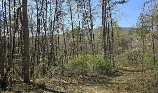 Photo #15 of S FT VALLEY RD, MADISON, VA 10.0 acres
