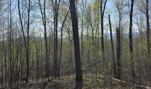 Photo #3 of S FT VALLEY RD, MADISON, VA 10.0 acres