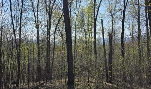Photo #16 of S FT VALLEY RD, MADISON, VA 10.0 acres