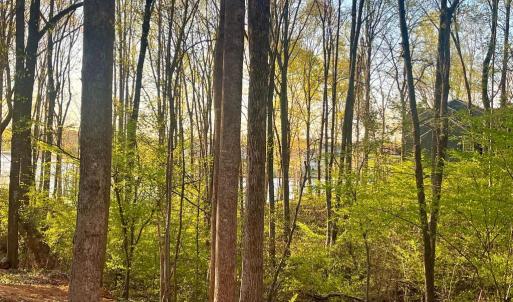 Photo #6 of 6302 BELMONT RD, MINERAL, VA 1.4 acres