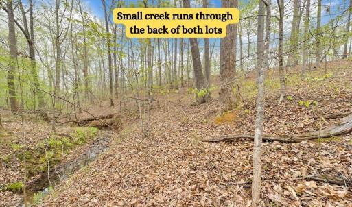 Small creek