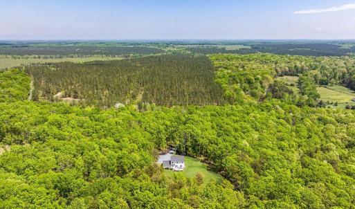 Photo #10 of 845 RACCOON RIDGE RD, SCOTTSVILLE, VA 121.3 acres