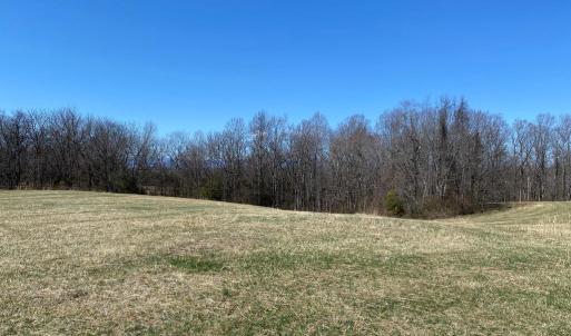 Photo #11 of KIRTLEY RESIDUE LOT, CULPEPER, VA 40.4 acres