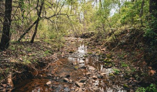 Photo #21 of RIDGEVIEW DRIVE, RUCKERSVILLE, VA 2.4 acres