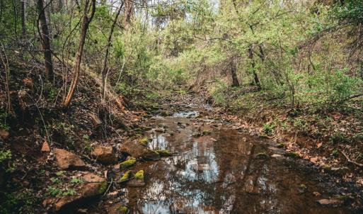 Photo #22 of RIDGEVIEW DRIVE, RUCKERSVILLE, VA 2.4 acres