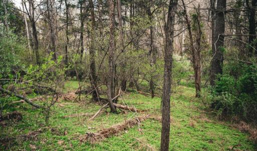 Photo #15 of RIDGEVIEW DRIVE, RUCKERSVILLE, VA 2.4 acres