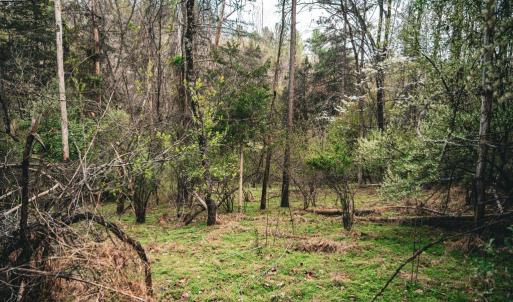 Photo #16 of RIDGEVIEW DRIVE, RUCKERSVILLE, VA 2.4 acres