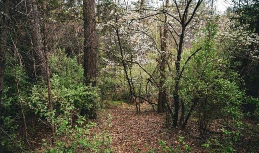 Photo #17 of RIDGEVIEW DRIVE, RUCKERSVILLE, VA 2.4 acres