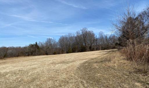 Photo #14 of KIRTLEY TRAIL LOT 2, CULPEPER, VA 40.4 acres
