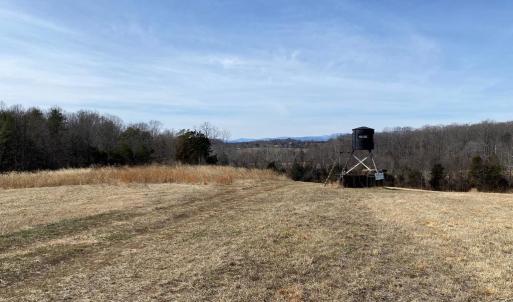 Photo #15 of KIRTLEY TRAIL LOT 2, CULPEPER, VA 40.4 acres