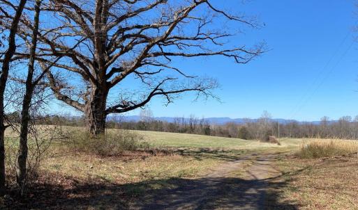 Photo #21 of KIRTLEY TRAIL LOT 2, CULPEPER, VA 40.4 acres
