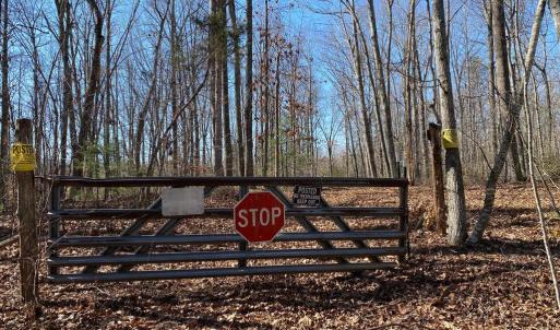 Photo #15 of KIRTLEY TRAIL- LOT 1, CULPEPER, VA 40.4 acres