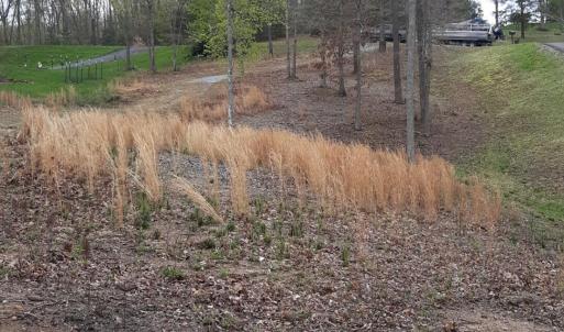 thumbnail_20200406_131844