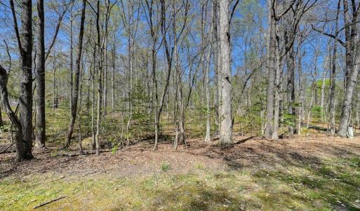 Photo #5 of LAKEWOOD CIRCLE, MINERAL, VA 1.1 acres