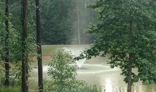 pond
