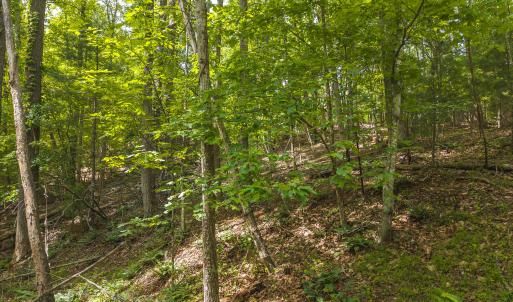 DJI_20250522105210_0044_D