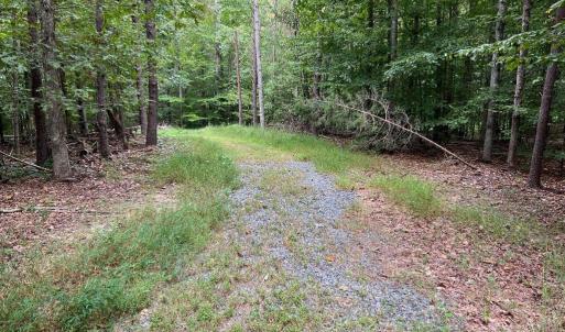 Photo #1 of S. BLUE RIDGE TURNPIKE, ROCHELLE, VA 14.1 acres