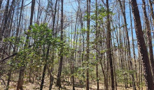 Photo #8 of BENT CREEK LN, BUMPASS, VA 28.0 acres
