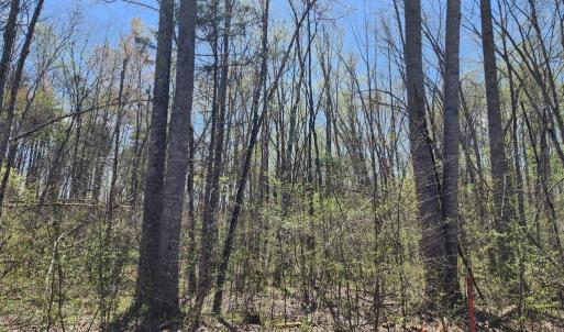Photo #9 of BENT CREEK LN, BUMPASS, VA 28.0 acres