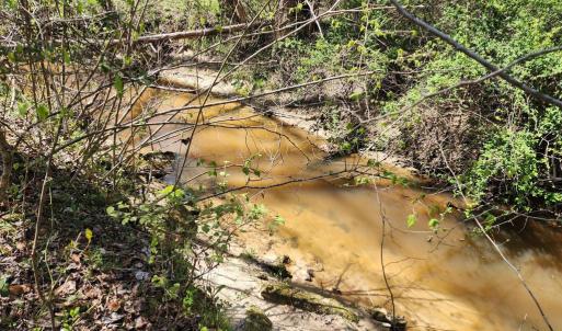 Photo #4 of BENT CREEK LN, BUMPASS, VA 28.0 acres