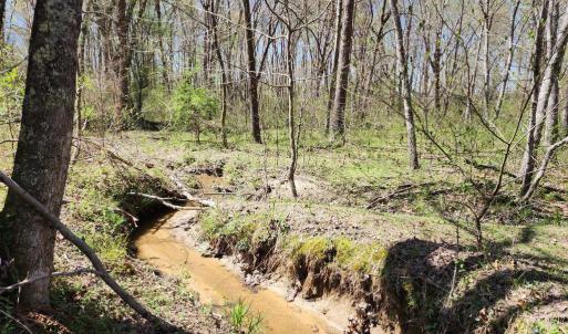 Photo #6 of BENT CREEK LN, BUMPASS, VA 28.0 acres
