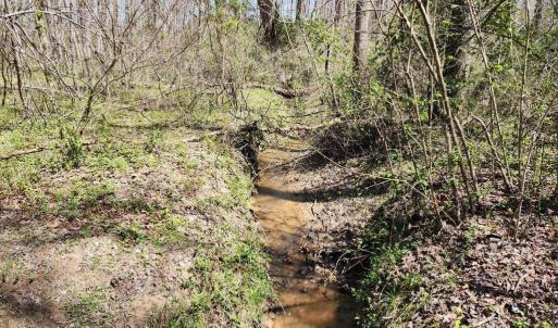 Photo #5 of BENT CREEK LN, BUMPASS, VA 28.0 acres