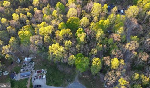 Photo #13 of BENT CREEK LN, BUMPASS, VA 28.0 acres