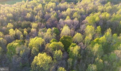 Photo #14 of BENT CREEK LN, BUMPASS, VA 28.0 acres