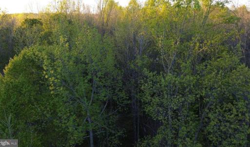 Photo #12 of BENT CREEK LN, BUMPASS, VA 28.0 acres