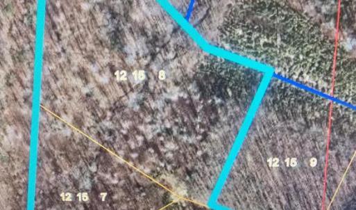 Photo #4 of FIREHOUSE DR, LOUISA, VA 17.3 acres