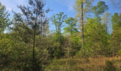 Photo #3 of FIREHOUSE DR, LOUISA, VA 17.3 acres