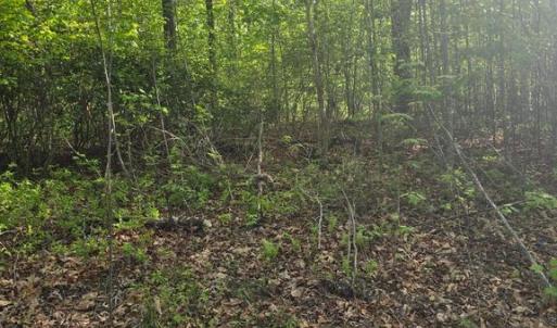 Photo #2 of FIREHOUSE DR, LOUISA, VA 17.3 acres