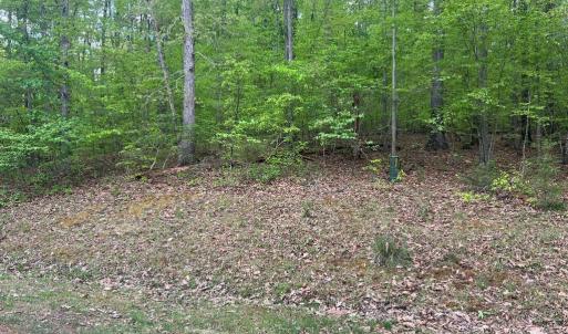 Photo #3 of FISHER DRIVE, MINERAL, VA 2.4 acres