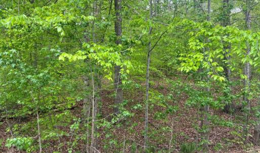 Photo #2 of FISHER DRIVE, MINERAL, VA 2.4 acres