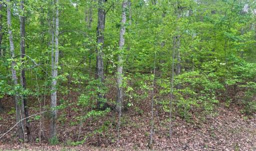 Photo #4 of FISHER DRIVE, MINERAL, VA 2.4 acres