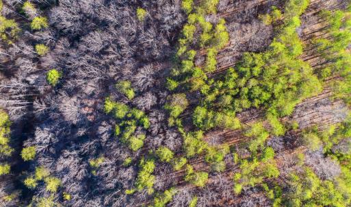 17-Garrison Ridge Lot 61_17